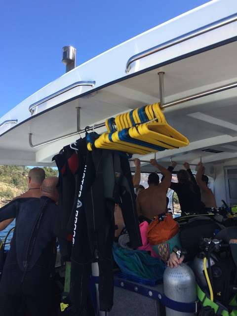 Photo: PRO DIVE Coogee Photo: PRO DIVE Coogee